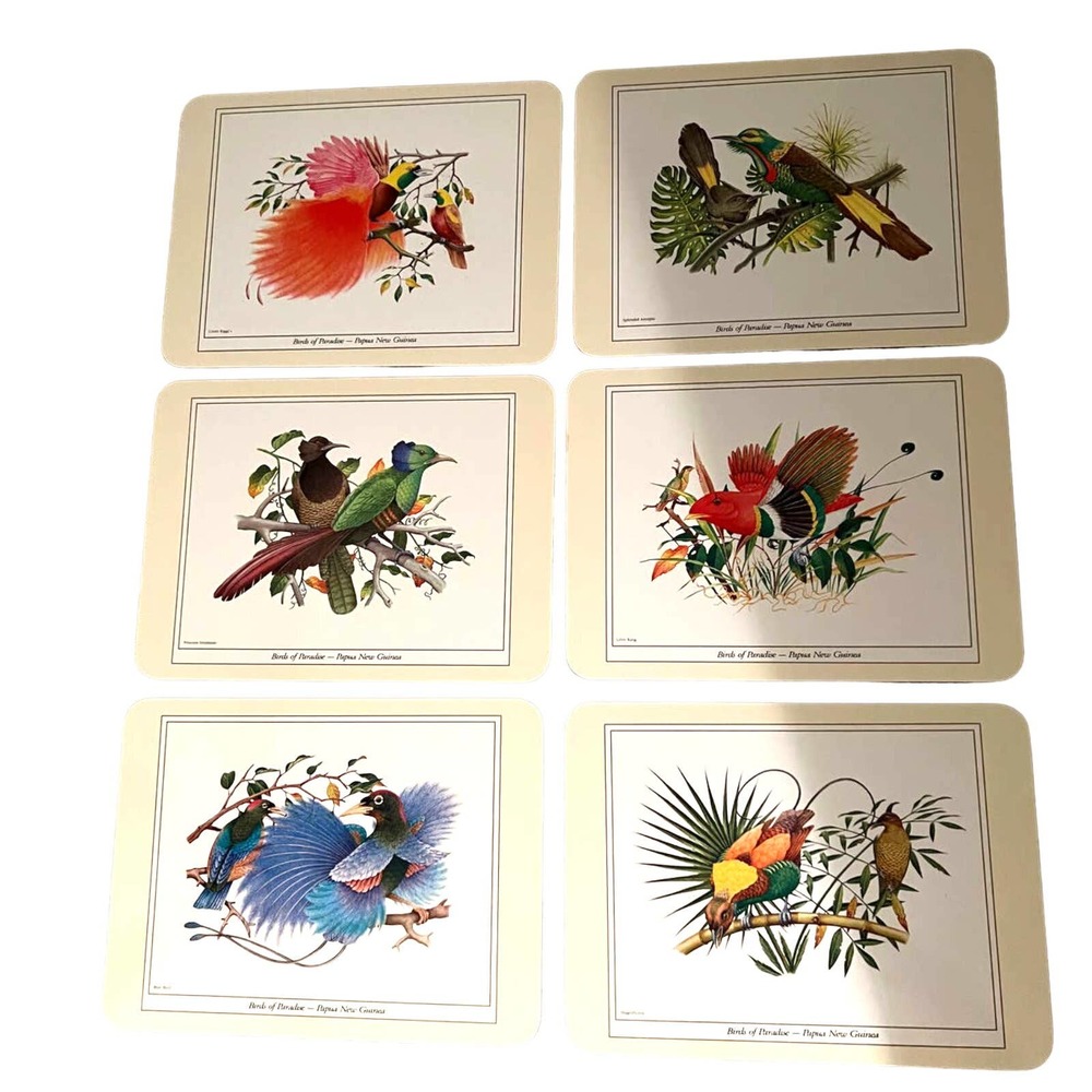 Jason Productions Ltd. New Zealand Birds of Paradise Placemats Cork Backed